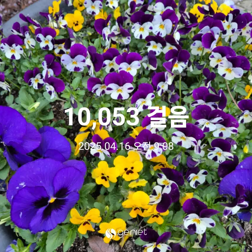 만보완주했어요