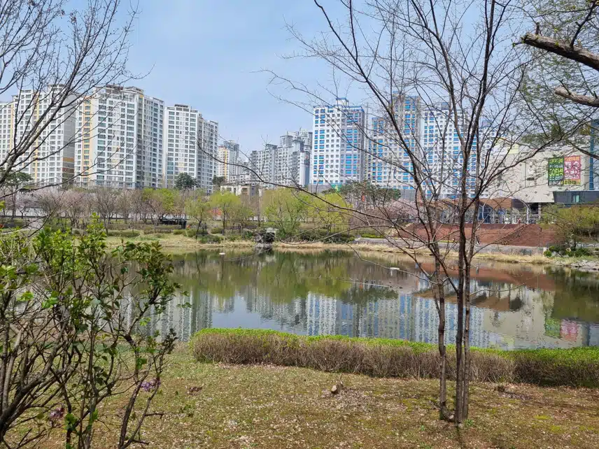 낮에 호수공원 걷기하다가