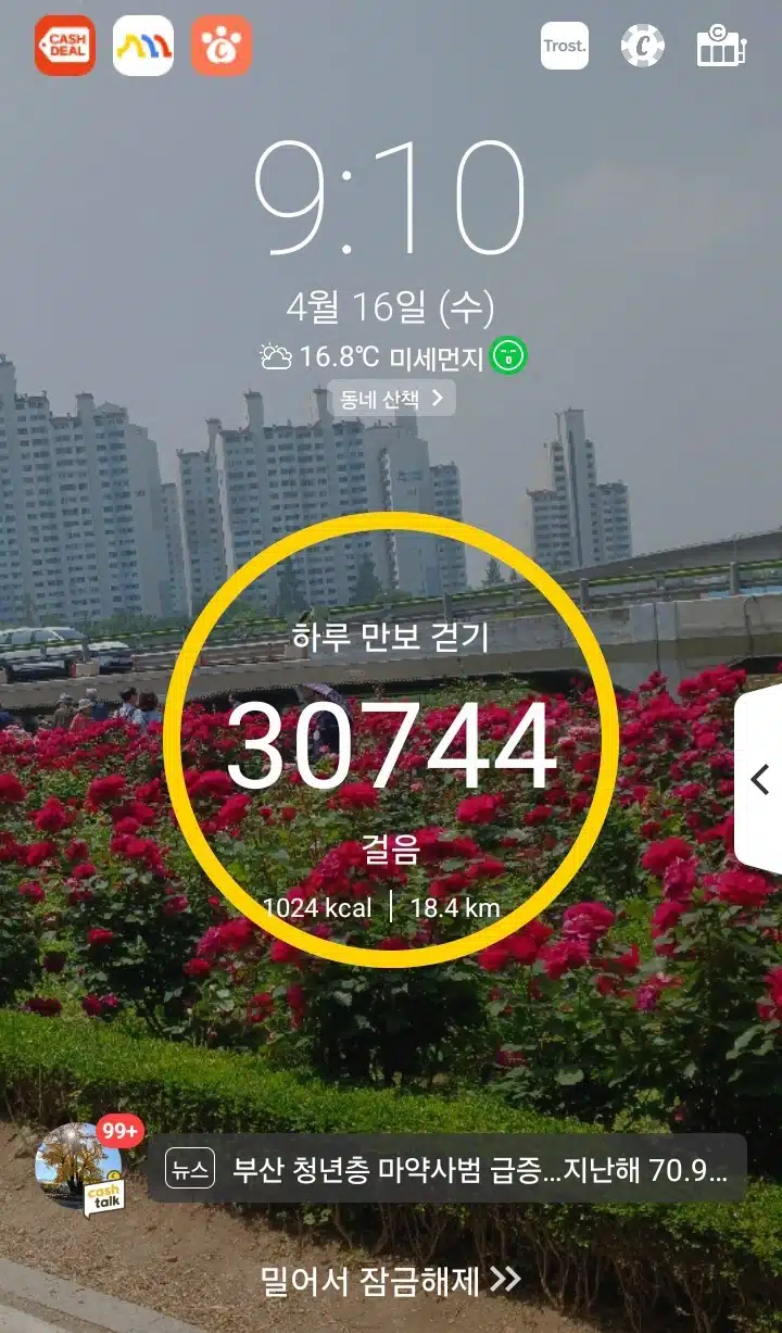 삼만보 걷기 