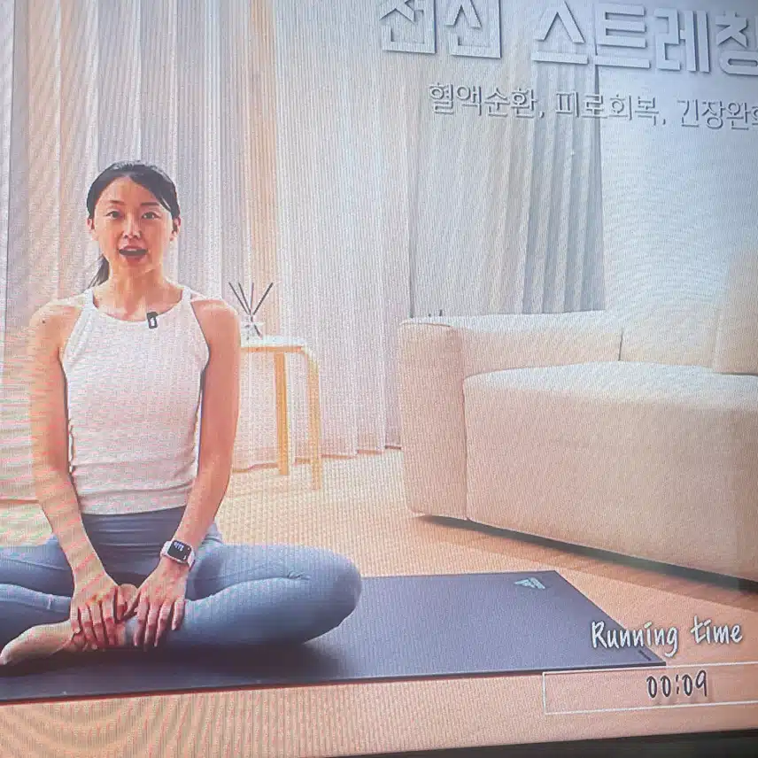 스트레칭