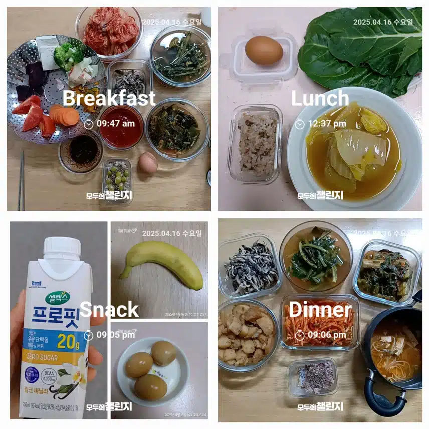 수요일, 오늘의 식단
