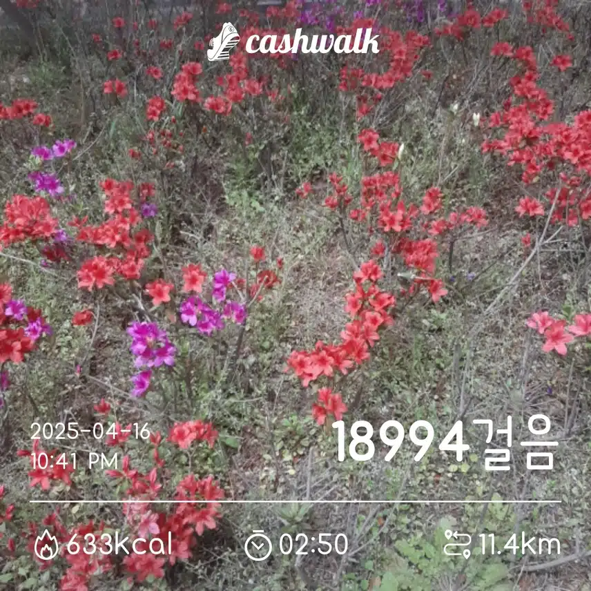 [11일차] 시원한 바람에 걷기좋아요