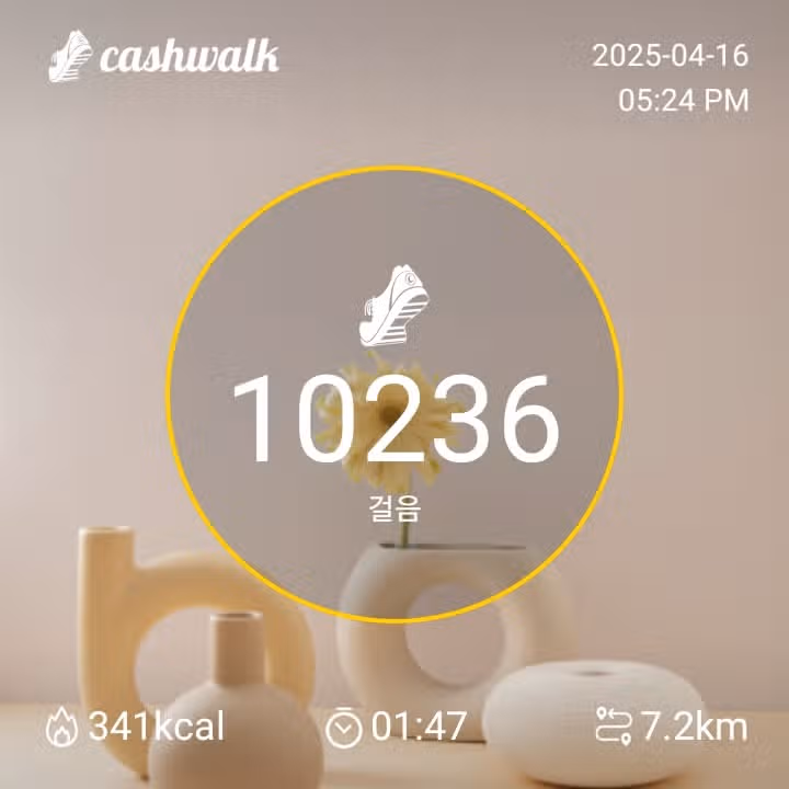 만보완료