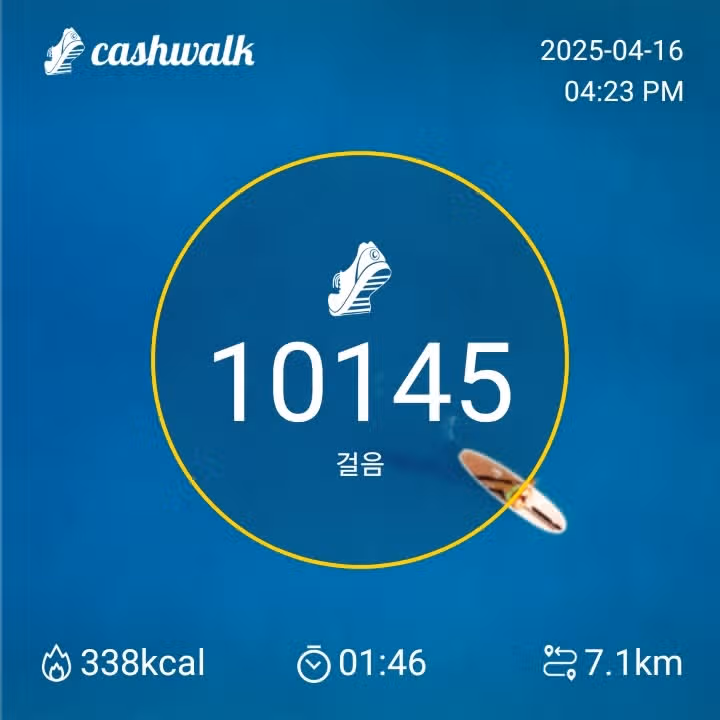 수요일만보