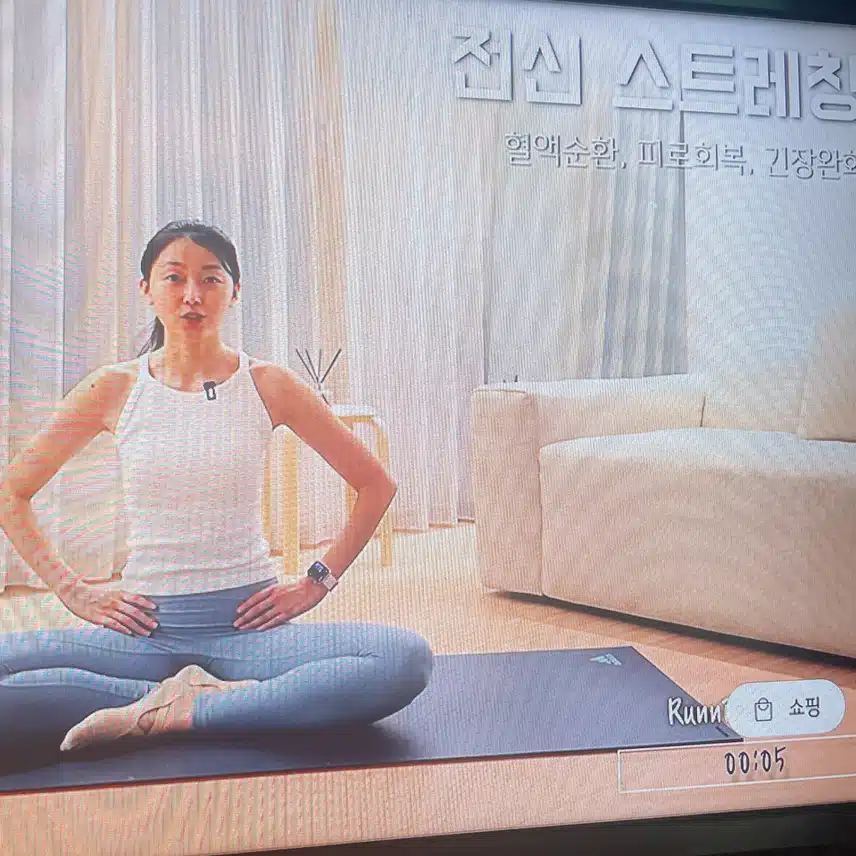 스트레칭