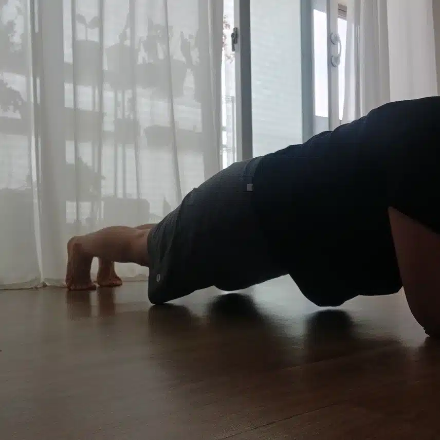 플랭크 