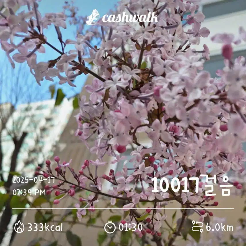 목요일걷기