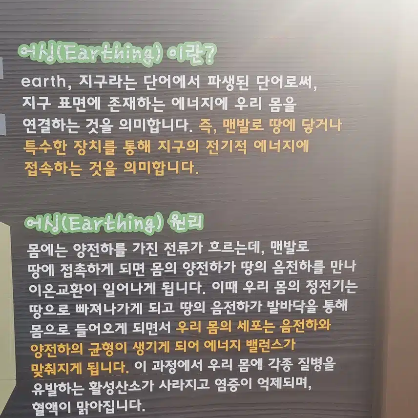 어싱