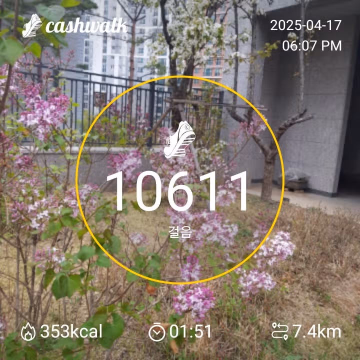 만보걷기 