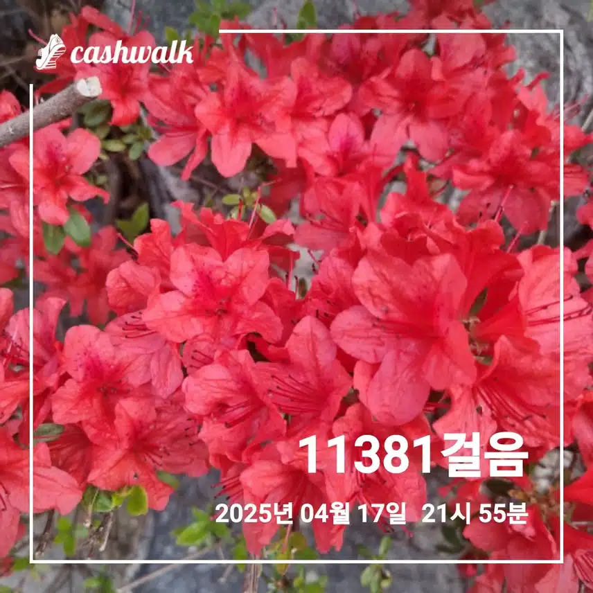 오늘 걸음