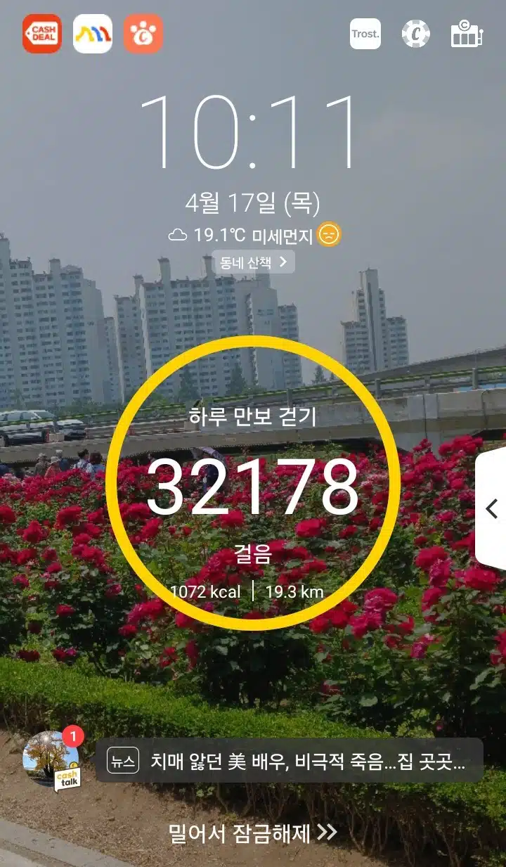삼만보 걷기 