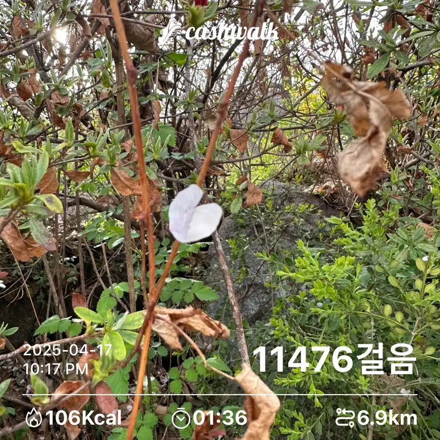 만보