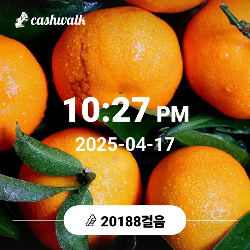 🌄새벽운동과 외출걸음🌸 