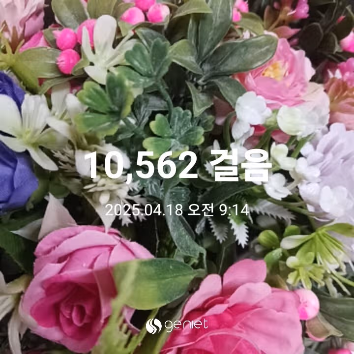 오전 운동 