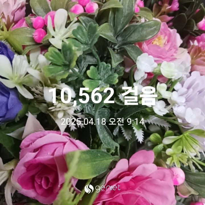 오전 운동 