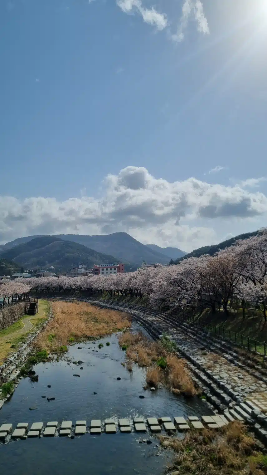 수안보 온천, 우리 가족의 따뜻한 쉼표