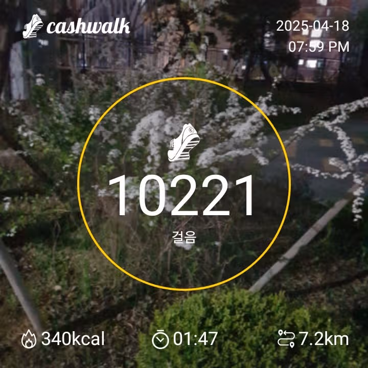 만보걷기 