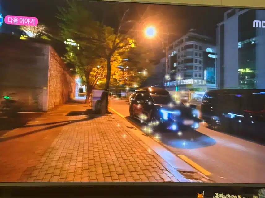 본업하는 모습으로 나혼자산다출연!!! 
