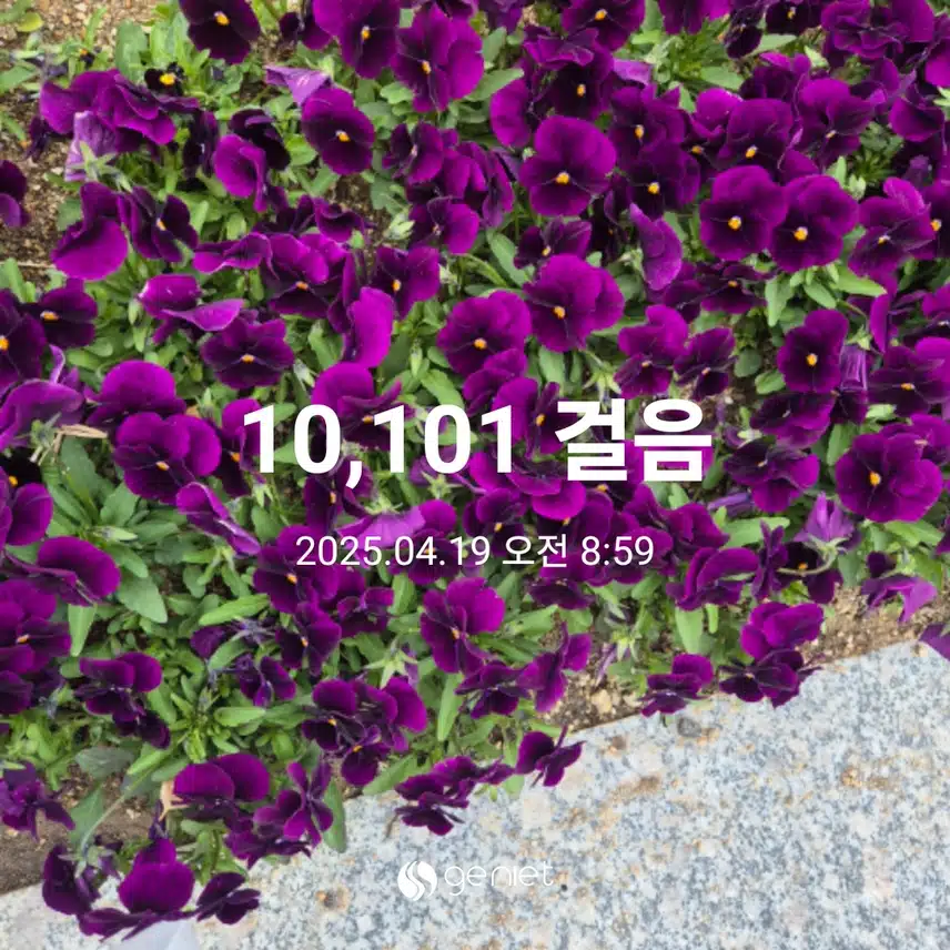 아침 만보완주했어요