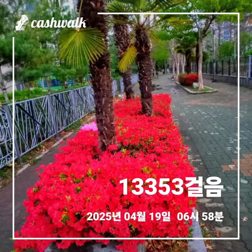  주말에도 새벽운동 