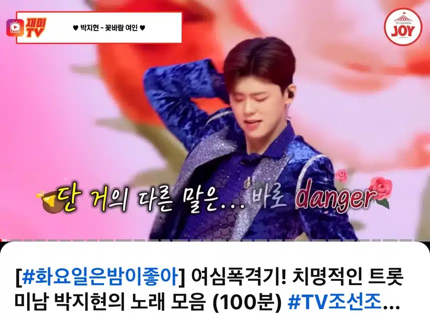 박지현님 화밤 영상 모음 보며 행복한 하루