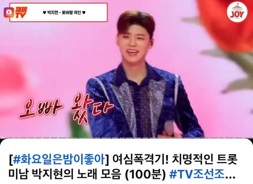 박지현님 화밤 영상 모음 보며 행복한 하루