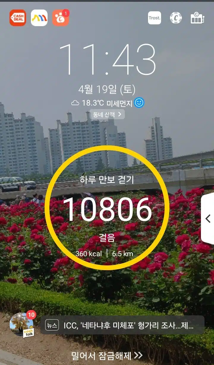 오전 운동 