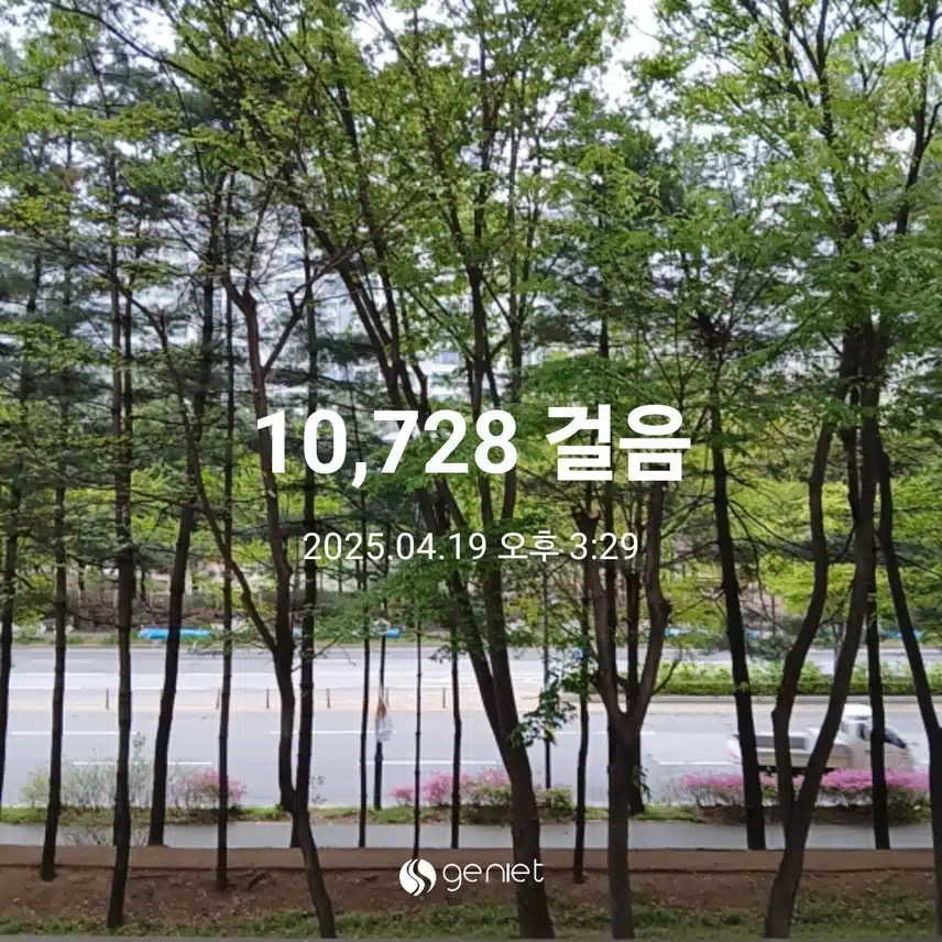 토요일 걷기운동^^