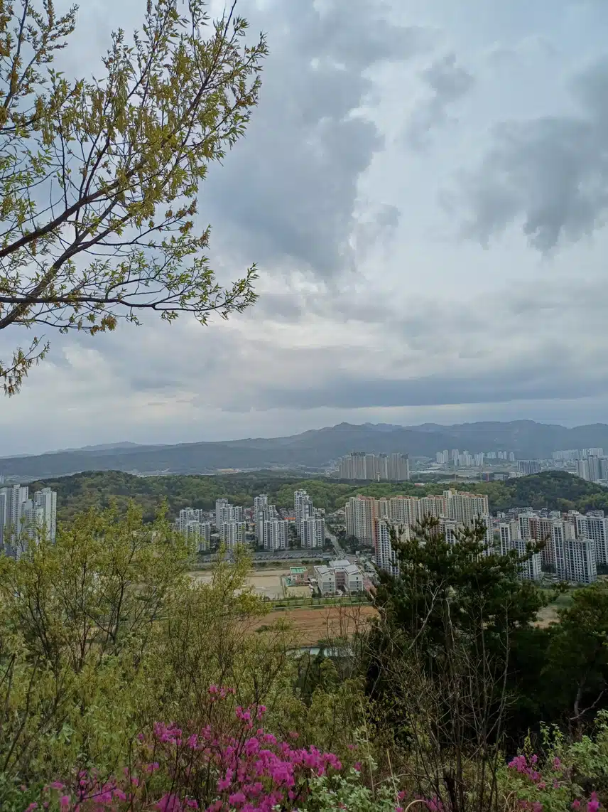 산에 다녀왔어요 