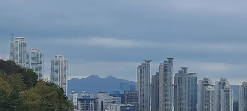 전망대