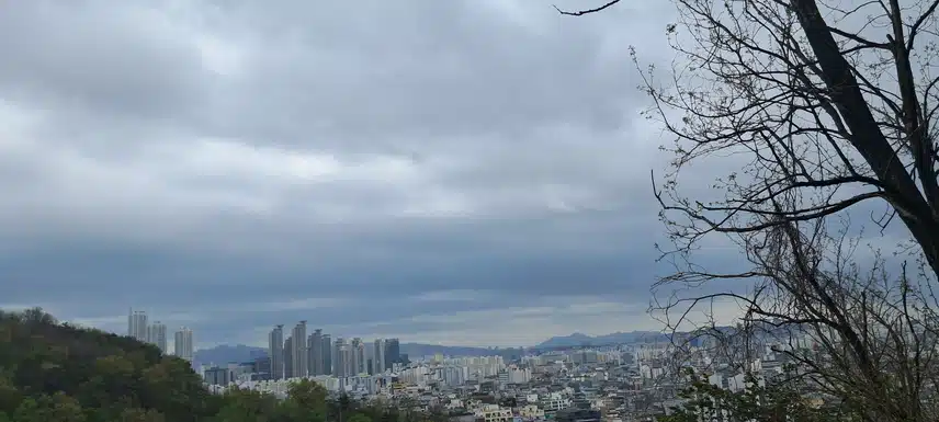 전망대