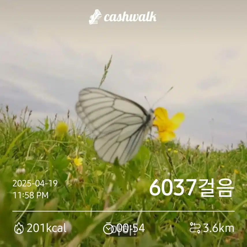 틈새 공부 📖 