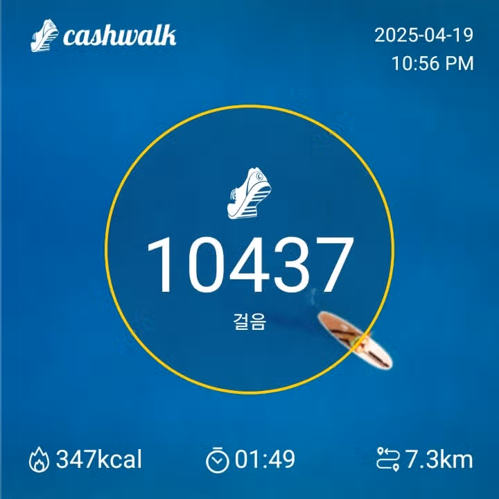 토요일 만보 인증