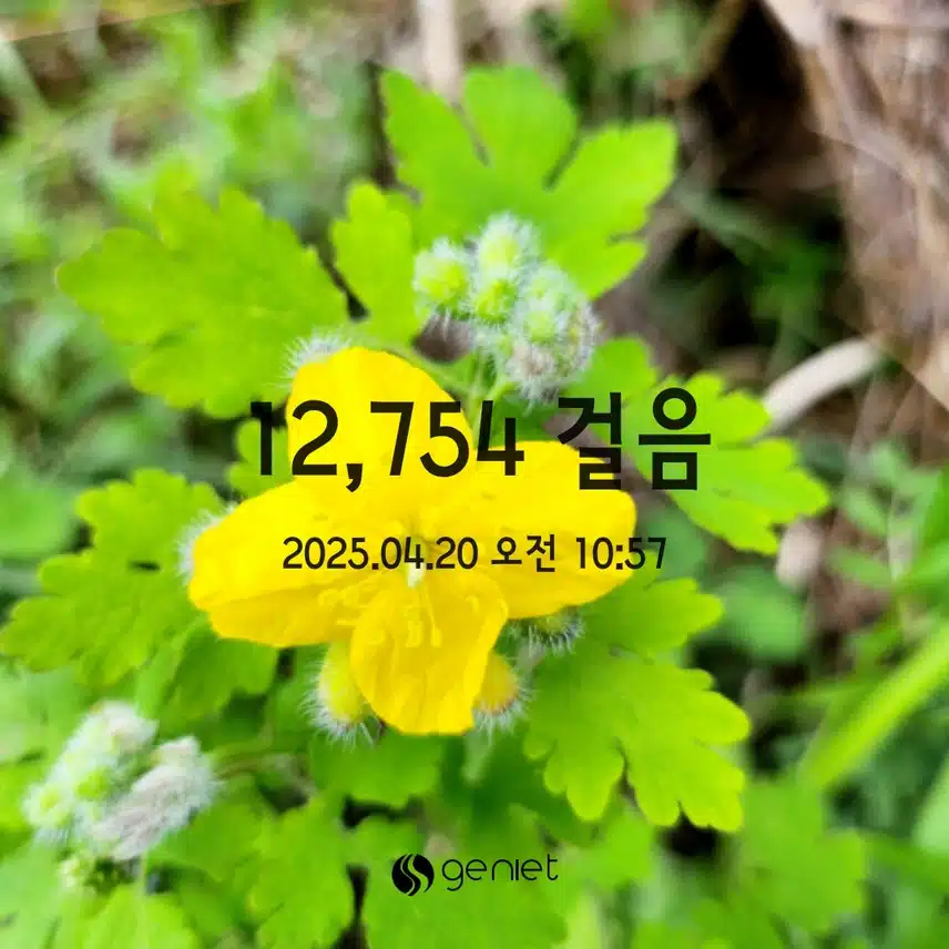 💪4.20  만보걷기 💕
