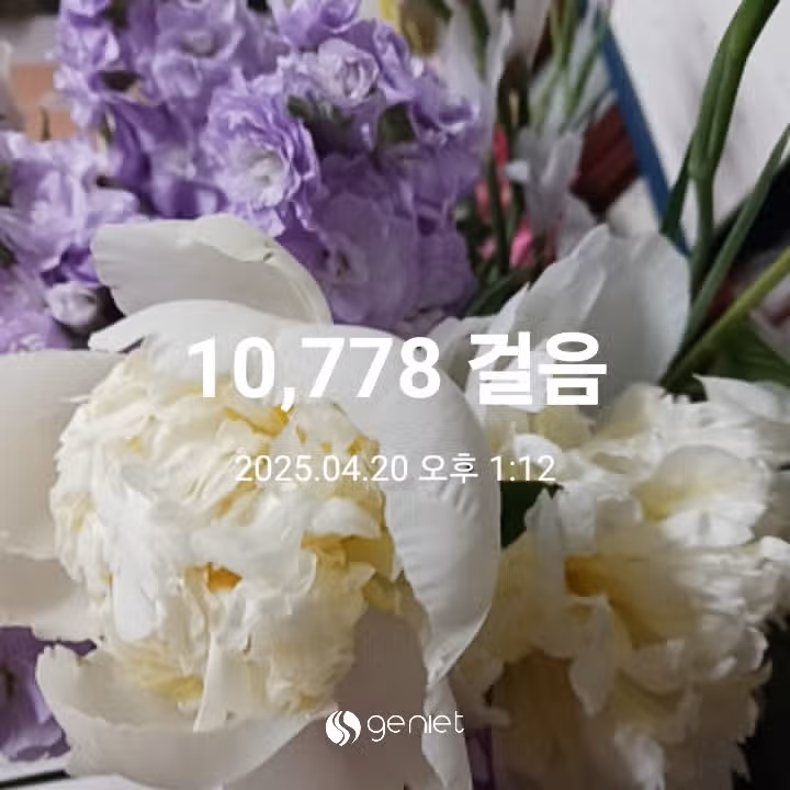 오전 운동 