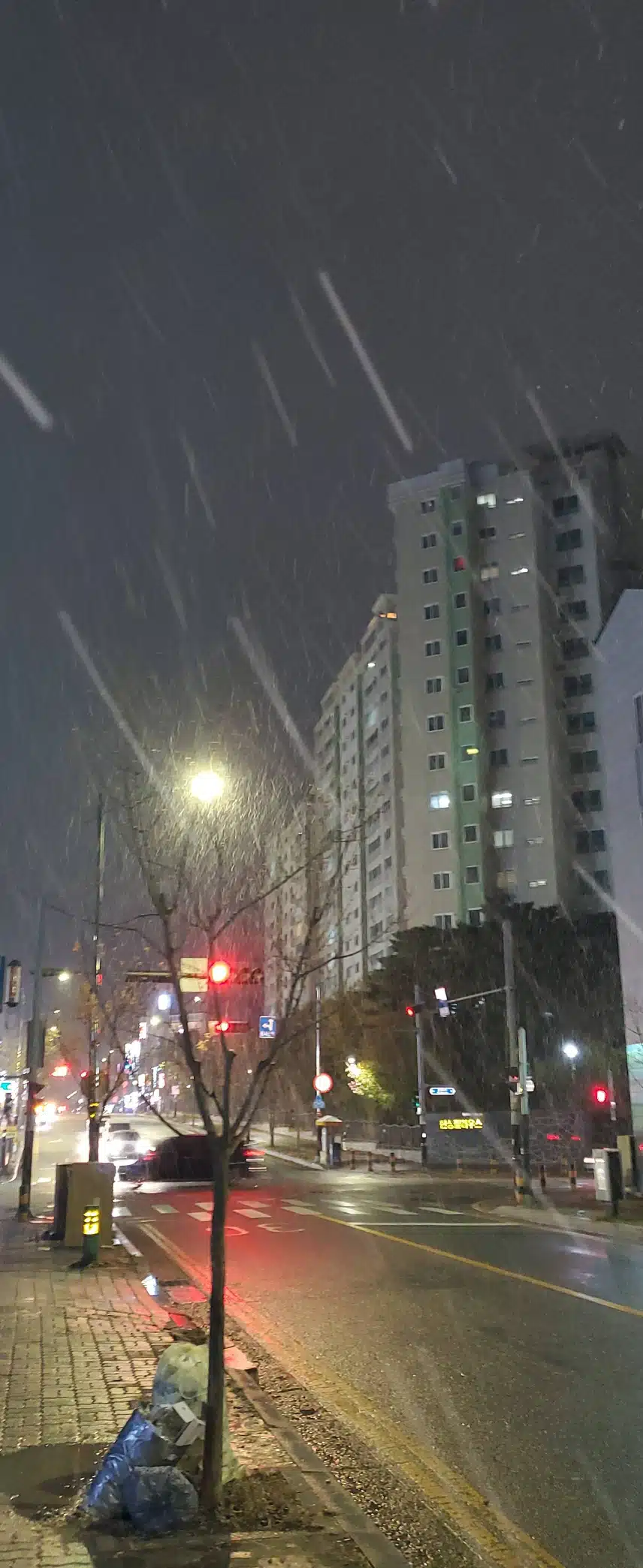 황영웅 가수님 이제  비상을 위하여 