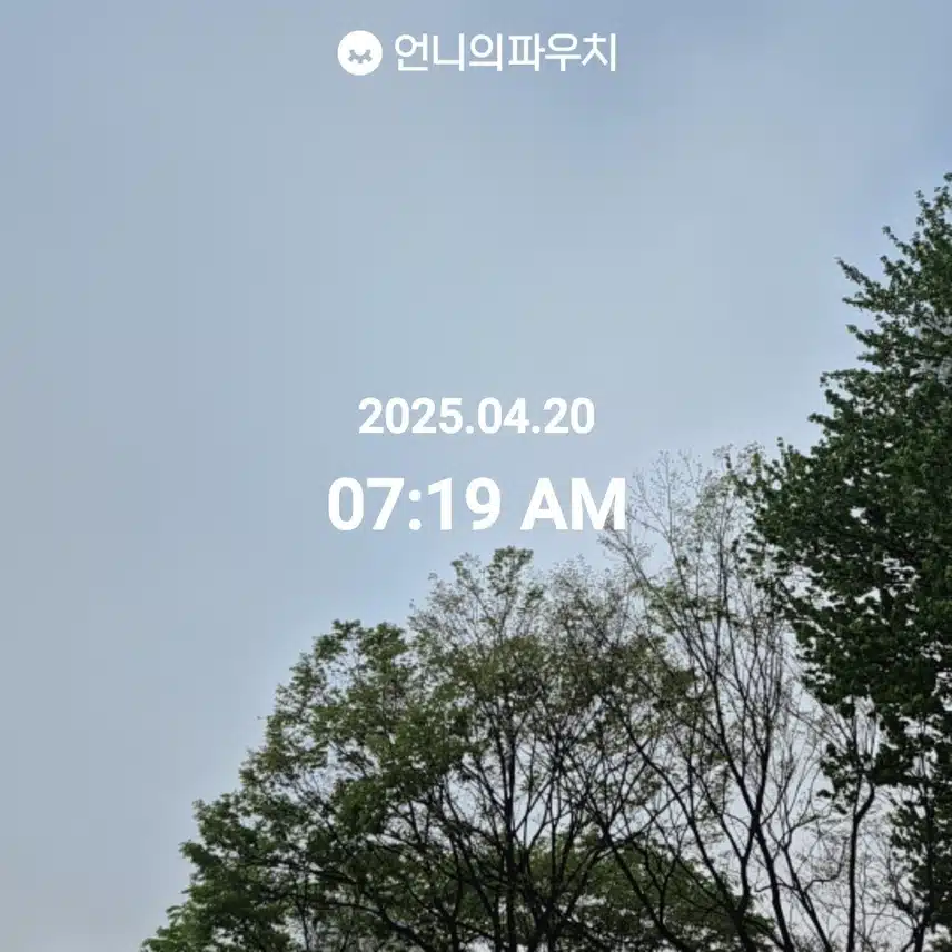2025년 4월 20일 일요일 걷기 