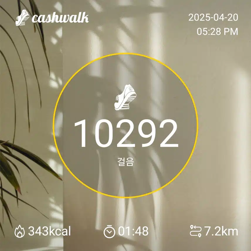 일요일 만보걷기 