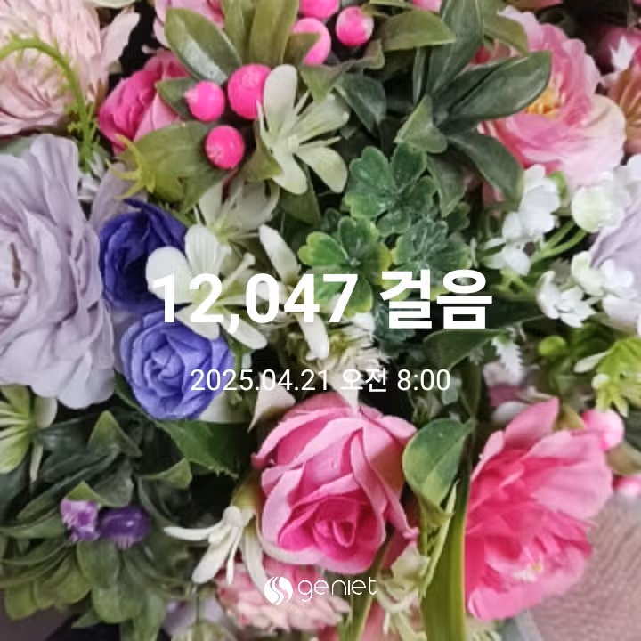 오전 운동 
