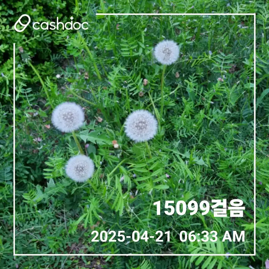      🌄오늘도 만보걷기 새벽운동 🌄