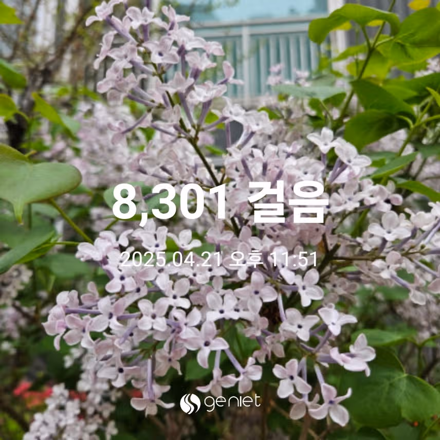 팔천보