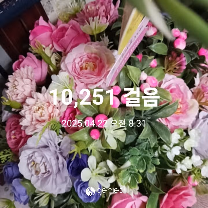 오전 운동 