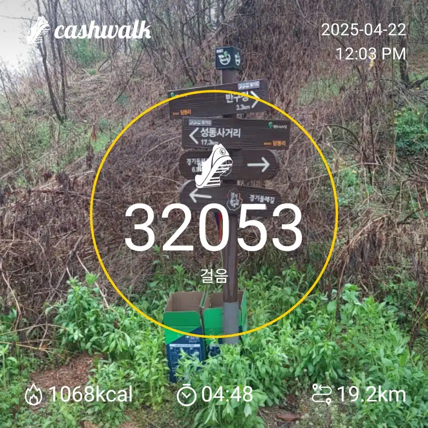 인증 