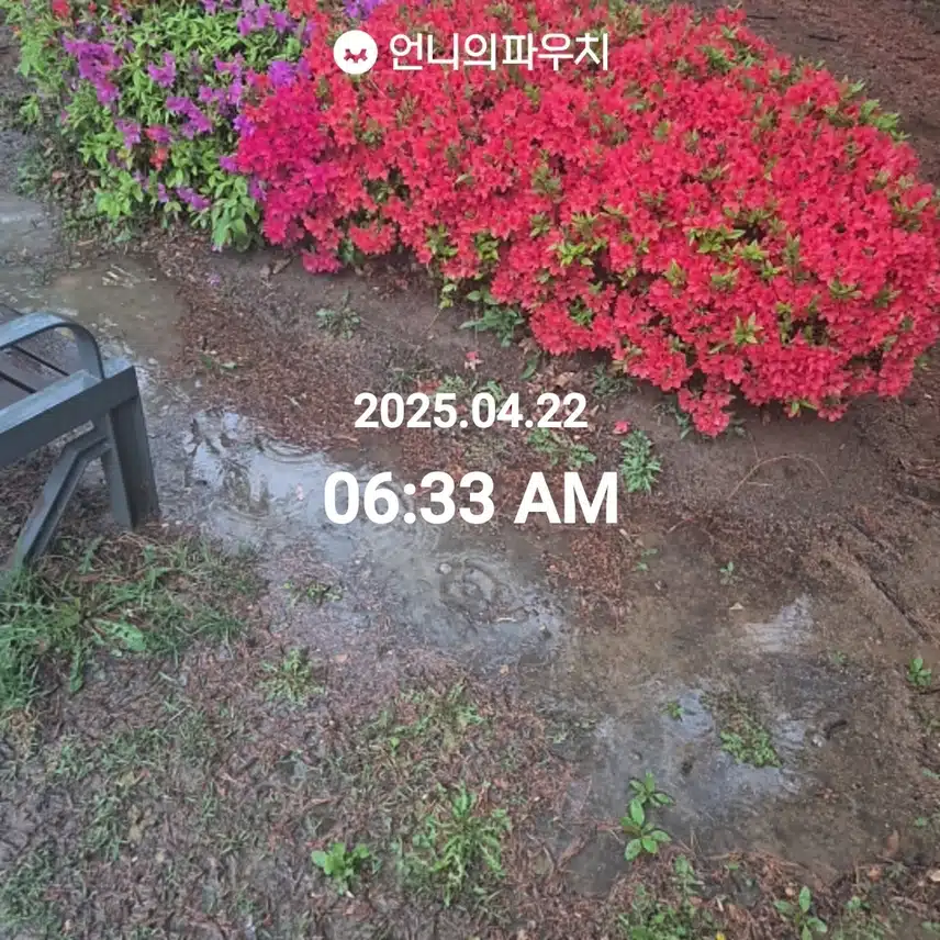 2025년 4월 22일 화요일 걷기 