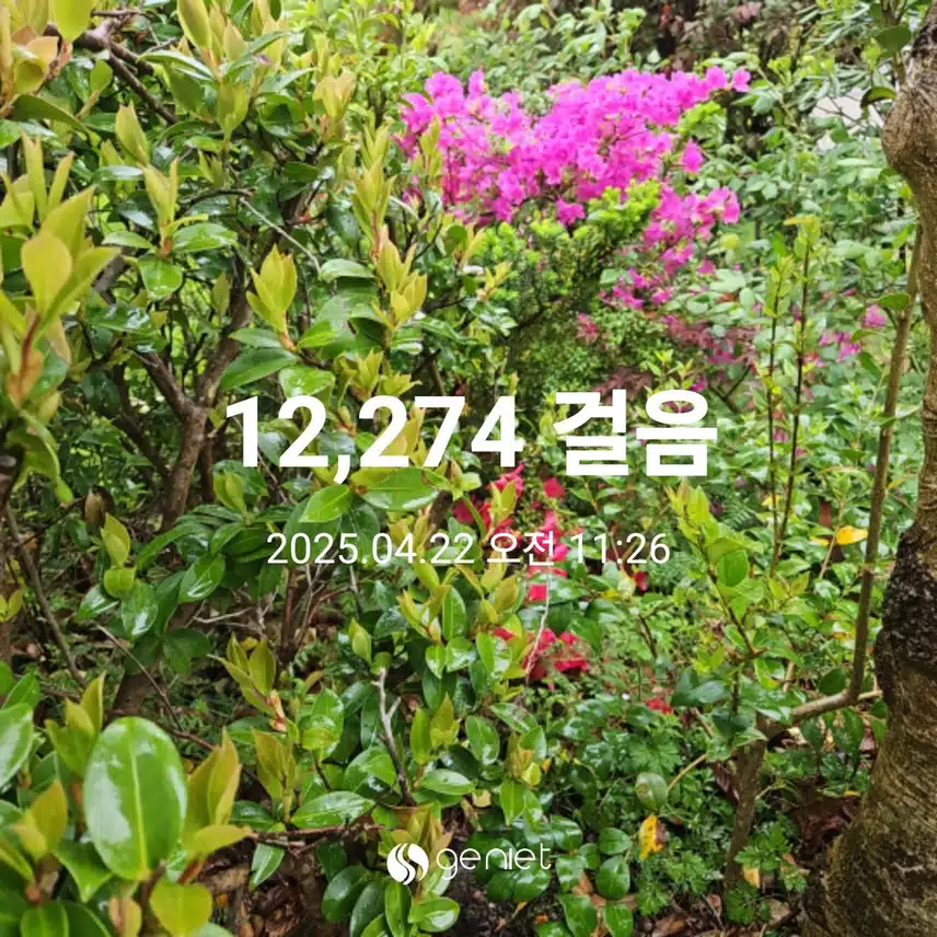 빗속의 만보걷기 ☔️ 🏃‍♂️