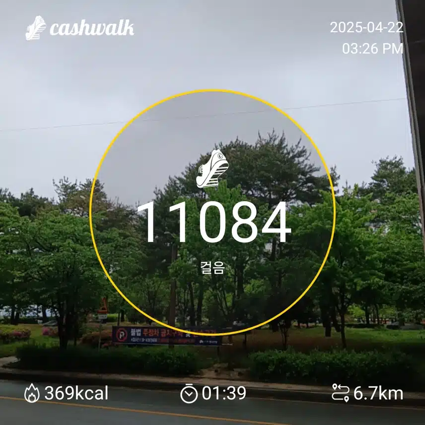 화요일 걷기운동^^