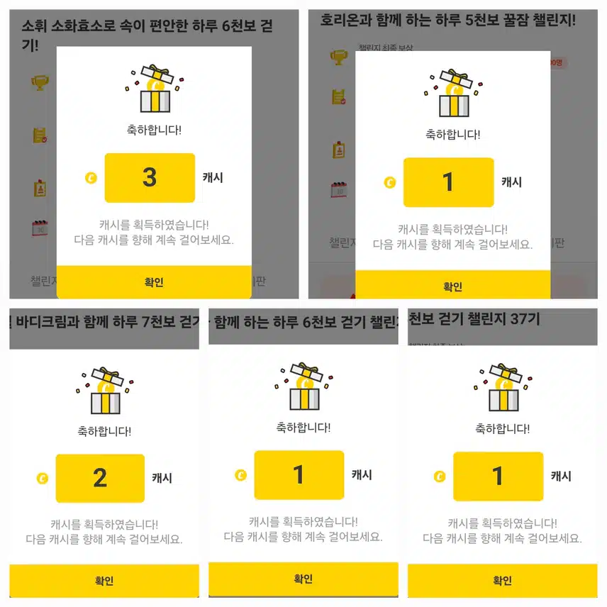 팀워크 하루 걷기 챌린지 인증 
