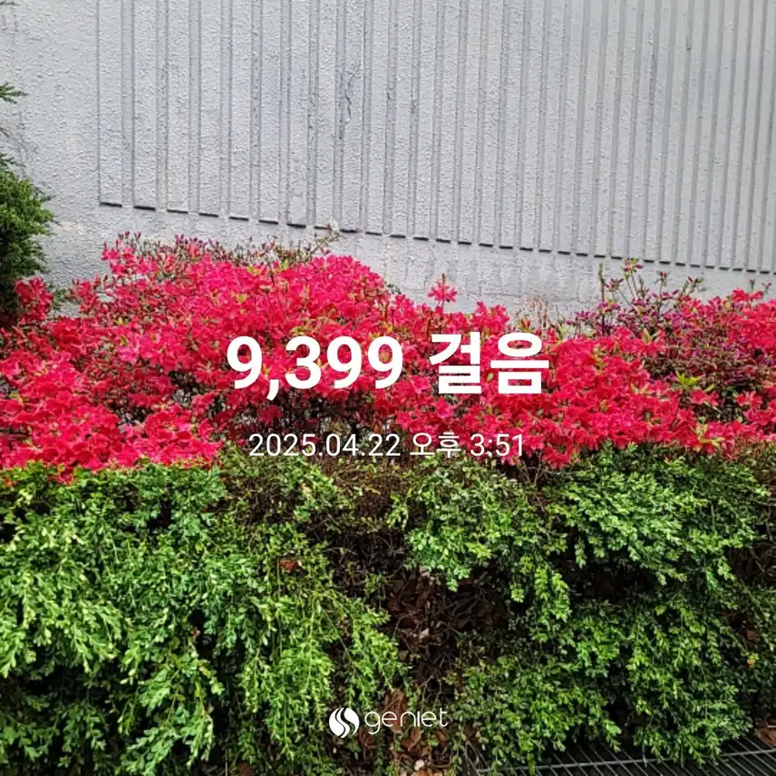 화요일 마무리 