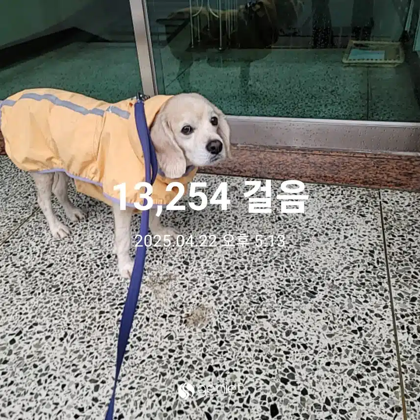화요일 마무리 