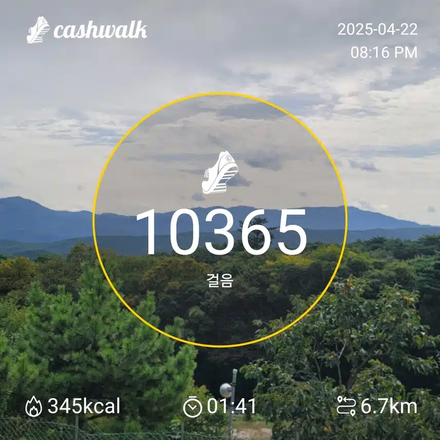 인증 